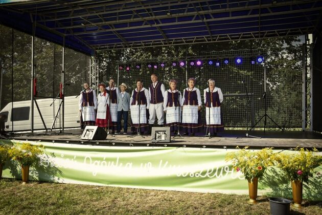 Ogórek w roli głównej. Zbliża się Ogólnopolski Dzień Ogórka w Kruszewie