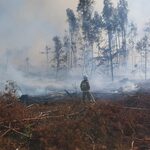 Pożar po zrębie. Na miejscu jest niemal 100 strażaków