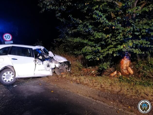 Auto uderzyło w przydrożne drzewo. Są ranni