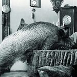 Przyprowadź znajomych na pokaz filmu "Simona" i wygraj unikatowy album!