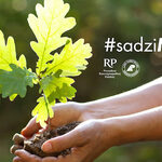 Akcja #sadziMY - można dostać sadzonkę drzew
