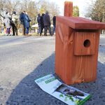 Miasto rozdawało budki lęgowe. Prawie połowa z nich znalazła lokatorów