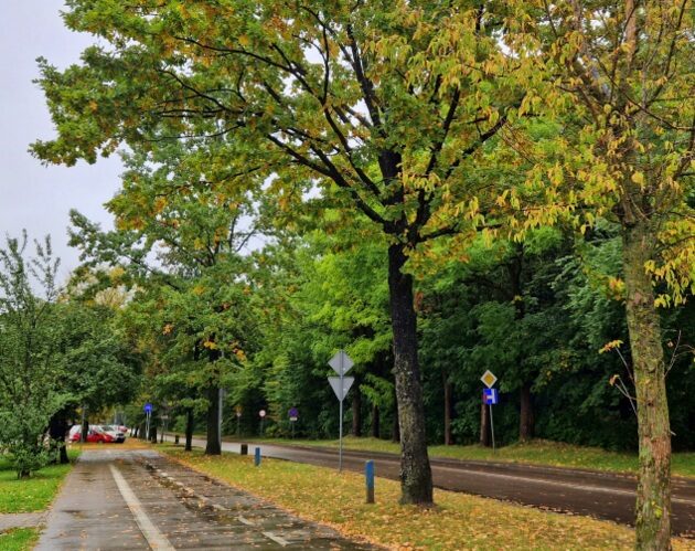 Pierwszy poniedziałek października z silnym wiatrem i deszczem