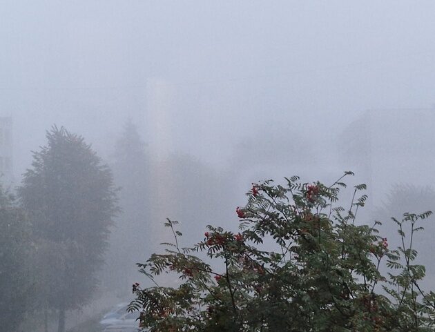IMGW ostrzega przed gęstą mgłą