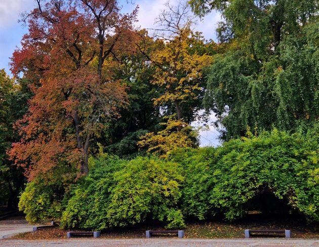 W ciągu dnia do 14°C,  noc zimna