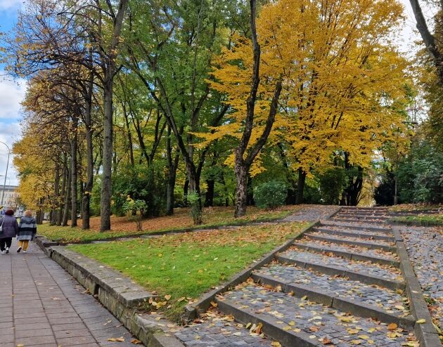 Będzie bezchmurnie, ale dość chłodno