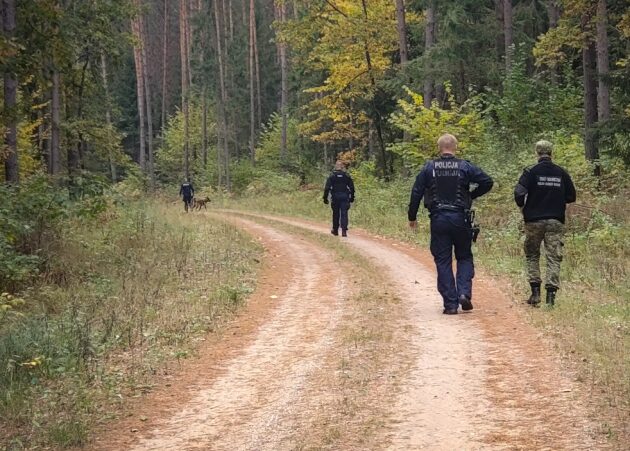 Przez 3 dni nikt nie zgłosił zaginięcia 87-latki. Wyziębiona kobieta leżała w mokradłach