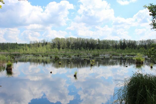 Co mają ze sobą wspólnego mady i quady? Dzień Krajobrazu w Puszczy Knyszyńskiej