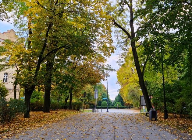 Ostatni weekend października przyniesie dużo ciepła