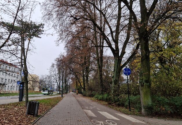 Pochmurny początek nowego tygodnia. Ile będzie stopni?