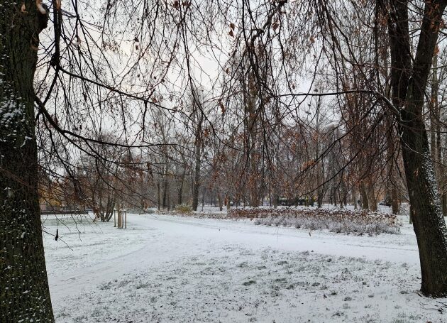 Zapowiada się mroźny weekend. W nocy będzie -10°C