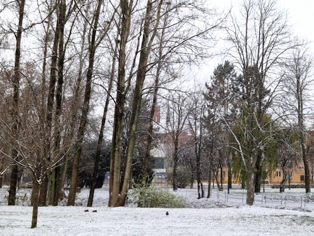 Będzie pochmurno i mroźno, ale bez opadów