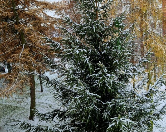 Jaką pogodę przyniesie nam ostatni weekend listopada?