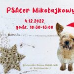 Białostockie schronisko zaprasza na PSAcer Mikołajkowy