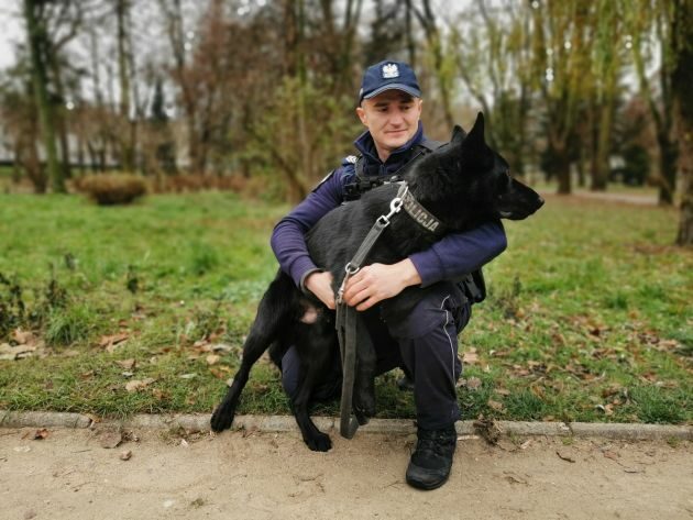 Kolejny czworonożny funkcjonariusz w regionie