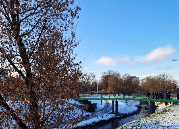 Weekend będzie mroźny, ale za to pełen przejaśnień