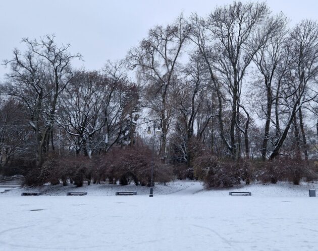 Mroźno i śnieżnie - w poniedziałek opady nie ustaną