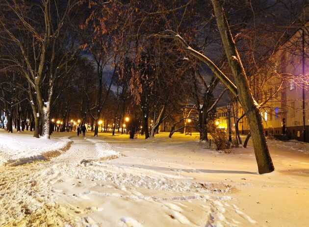 Mróz nie odpuszcza. W ciągu dnia odczuwalna temperatura sięgnie -10°C