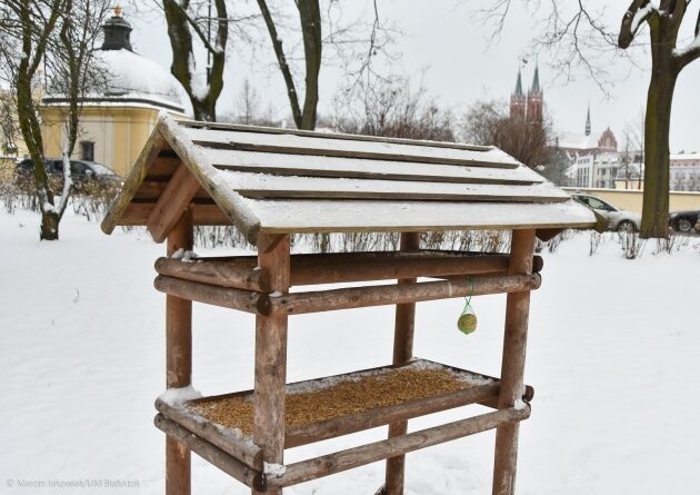 W Białymstoku rozstawiono 36 karmników. Miasto zachęca do dokarmiania ptaków