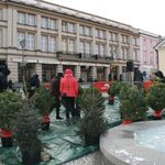 Akcja "Choinka" została przełożona