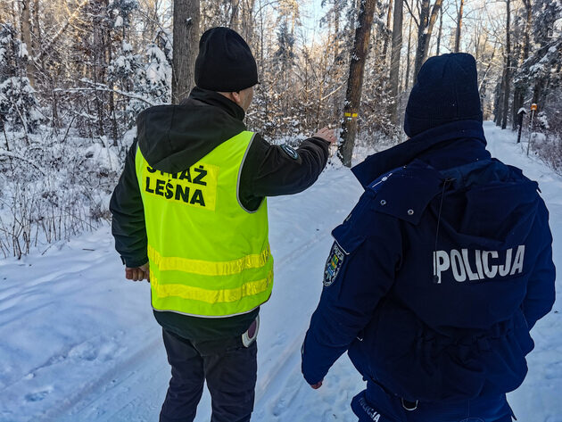 Niemal 400 policjantów sprawdzało legalność sprzedawanych choinek