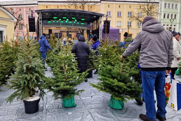 Akcja "Choinka". Białostoczanie tłumnie rzucili się na darmowe choinki