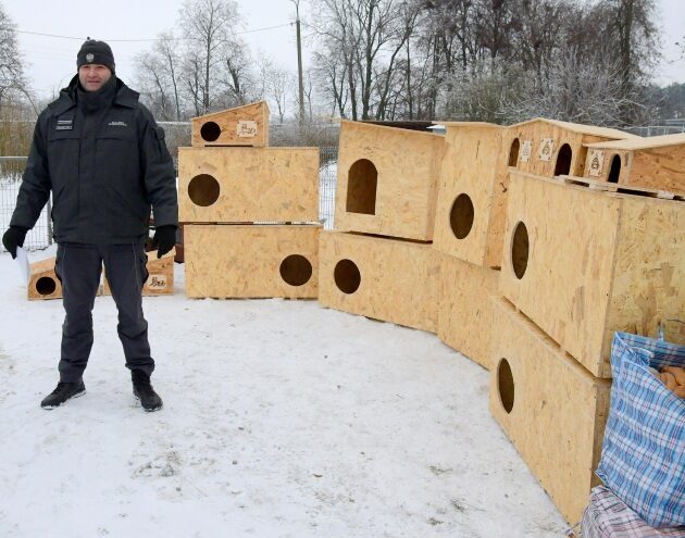 Więźniowie wykonali budy dla psów i kotów