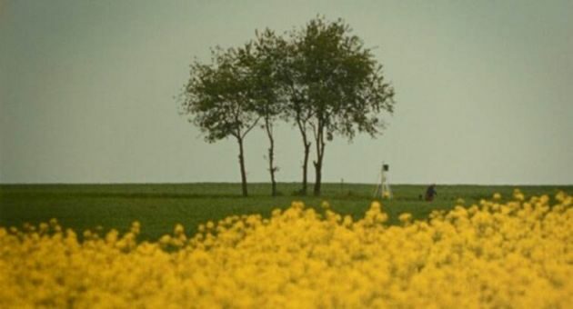 Filmy twórców z Podlasia na prestiżowym festiwalu we Francji