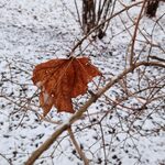 Ostatni dzień stycznia - jaka będzie pogoda?