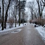 Rano może być ślisko. Synoptycy ostrzegają przed oblodzeniem