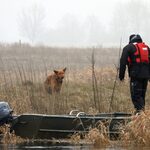 "Rudy" błąkał się po rozlewiskach. Pomoc przyszła w porę