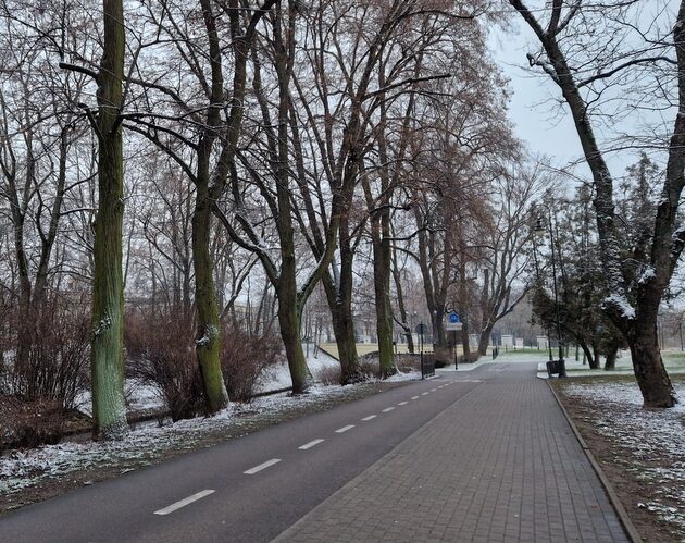 Deszczowy poniedziałek. IMGW ostrzega przed silnym wiatrem