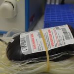 Trwa akcja oddawania krwi "Wampiriada 2023"