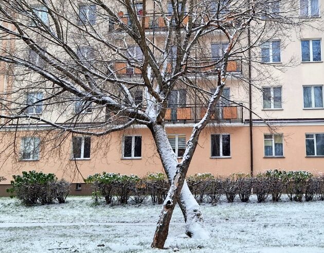 Kolejny dzień z opadami, tym razem marznącymi