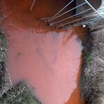 Dolistówka zanieczyszczona. Rzeka ma rdzawy kolor