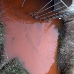 Dolistówka zanieczyszczona. Rzeka ma rdzawy kolor