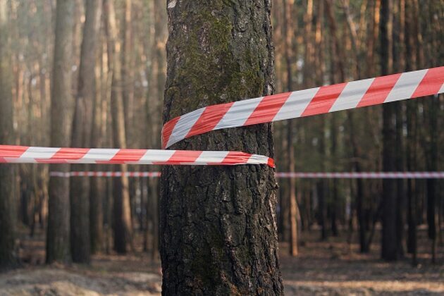 Nieopodal Narewki znaleziono szczątki ludzkie