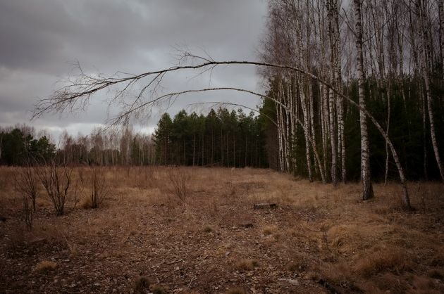 A może trauma ta nie jest prawdziwa? – wystawa fotografii Kamila Śleszyńskiego