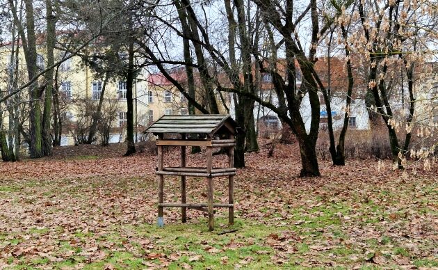 Leżą od jesieni. Niebawem rozpocznie się wielkie grabienie liści