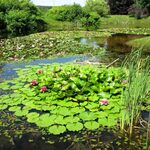 Arboretum w Kopnej Górze już otwarte