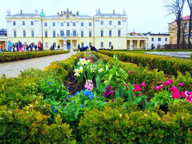 Salon ogrodowy Pałacu Branickich nabrał barw. Posadzono 9 tys. kwiatów