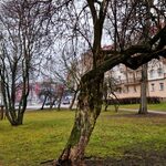 Jaką pogodę przyniesie półmetek tygodnia?