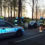 Auto uderzyło w drzewo. 3 osoby, w tym dziecko, przetransportowane do szpitala