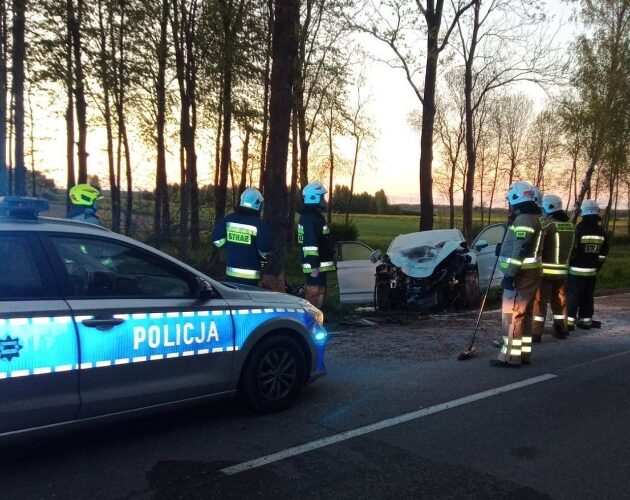 Auto uderzyło w drzewo. 3 osoby, w tym dziecko, przetransportowane do szpitala