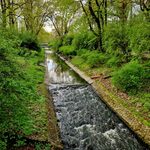 Pierwszy weekend maja zapowiada się na chłodny, ale i słoneczny