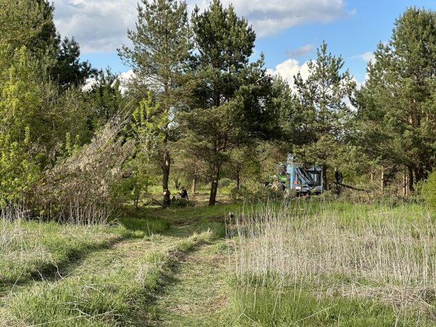 Mieszkańcy Wygody alarmują. Urokliwy lasek poszedł pod topór