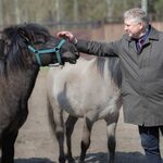 Pożar nad Biebrzą. Politechnika Białostocka wsparła Ośrodek Rehabilitacji Zwierząt