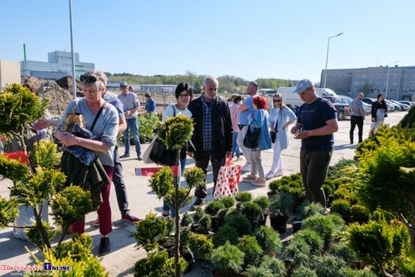 Targi Ogrodnictwa ponownie na Andersa