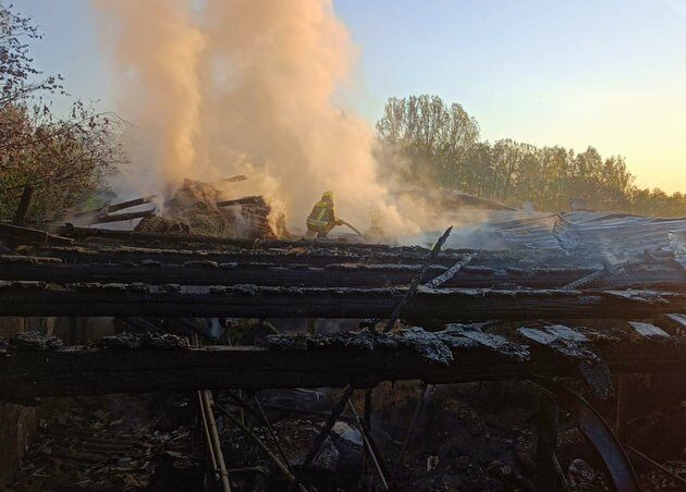 115 krów spłonęło żywcem. Przez pożar rodzina straciła jedyne źródło dochodu