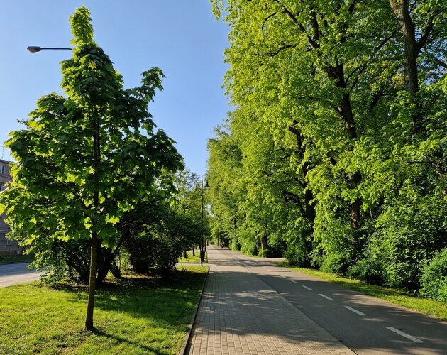 W piątek słońca nie zabraknie